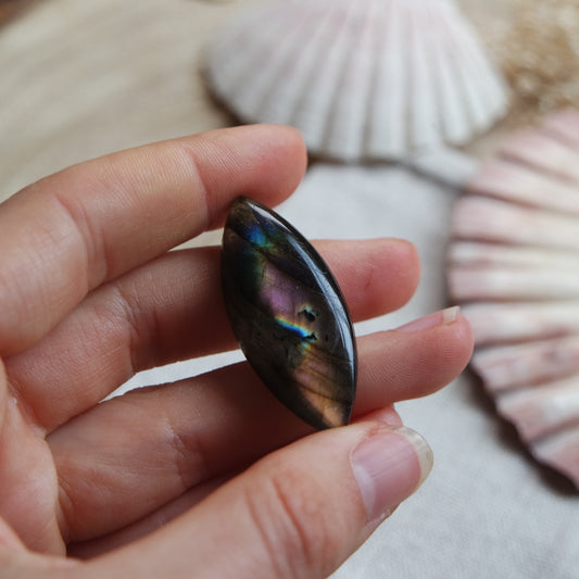Labradorit Cabochon ~ 18YR