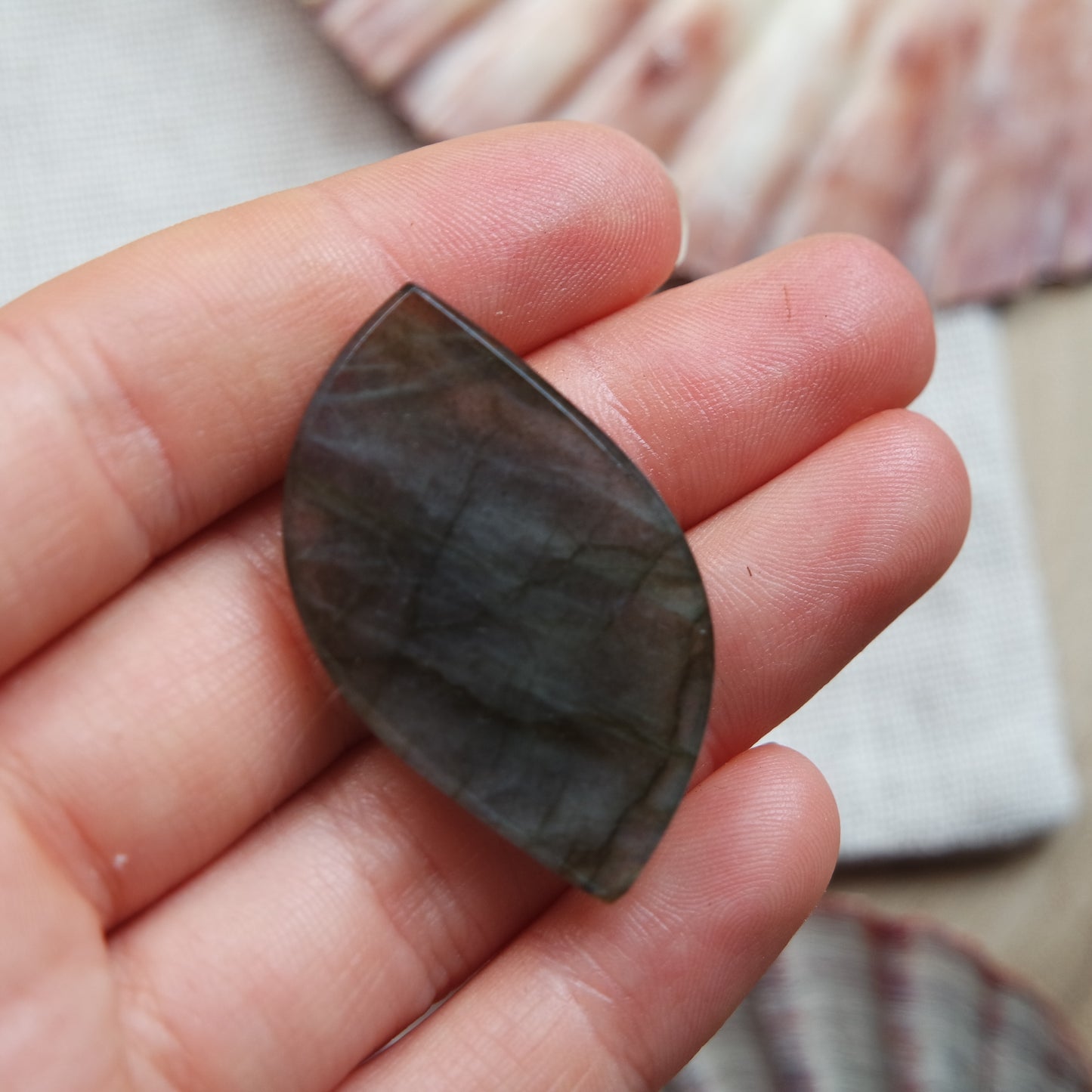 Labradorit Cabochon ~ 18YZ