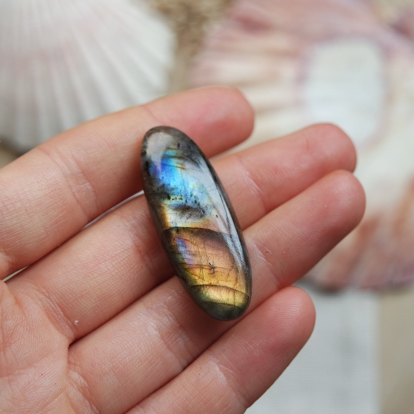 Labradorit Cabochon ~ 18ZD