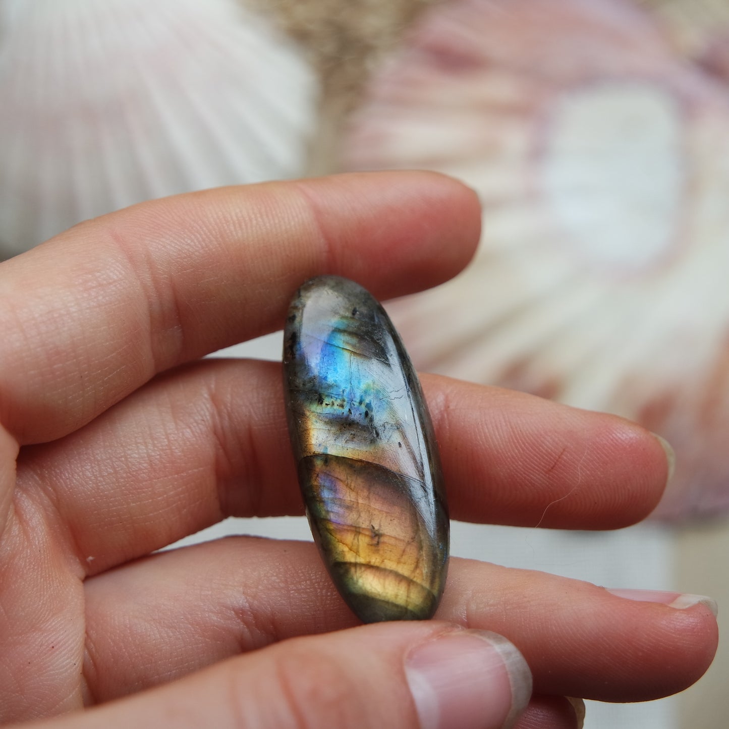 Labradorit Cabochon ~ 18ZD
