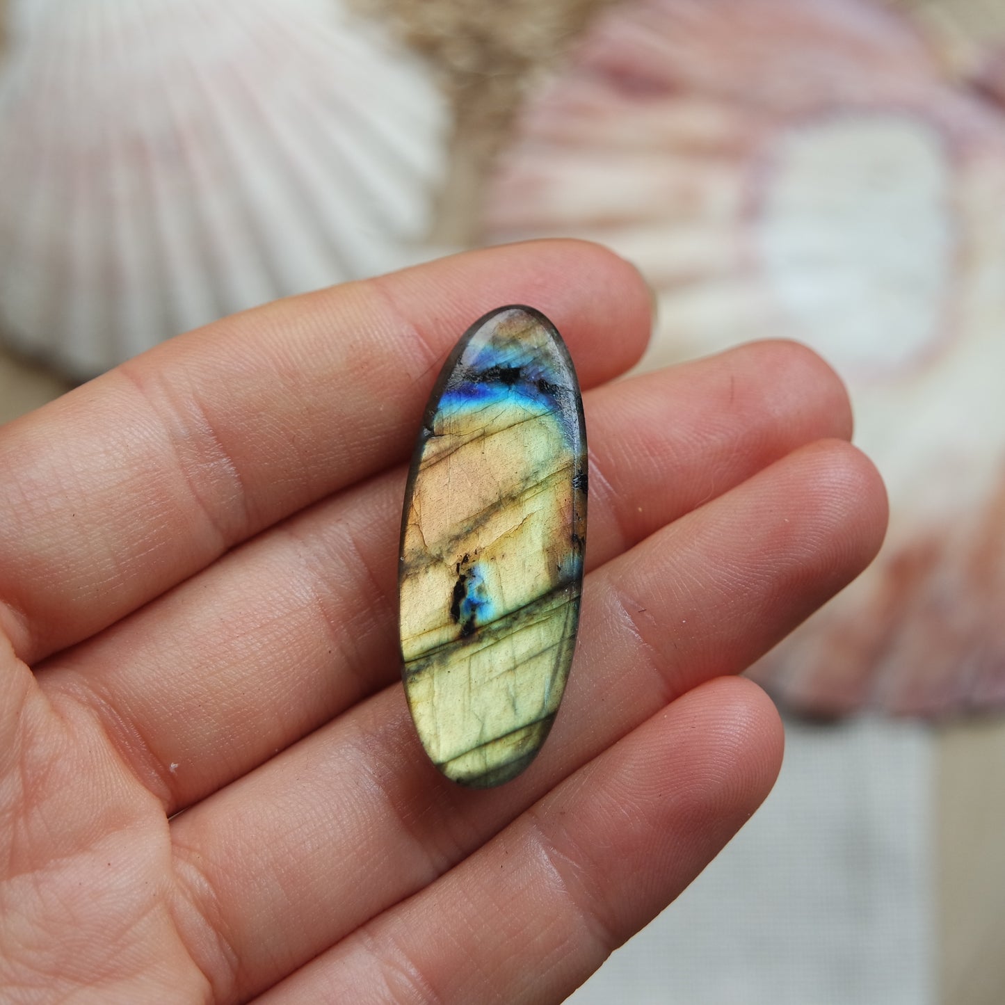 Labradorit Cabochon ~ 18ZD