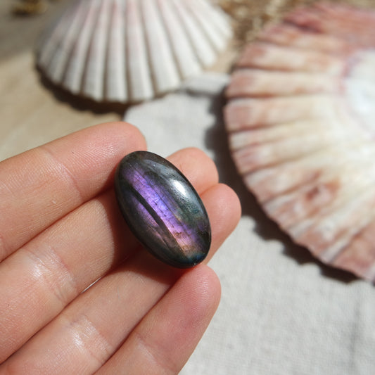 Lila Labradorit Cabochon ~ 14XK