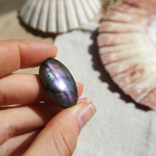 Lila Labradorit Cabochon ~ 14XK