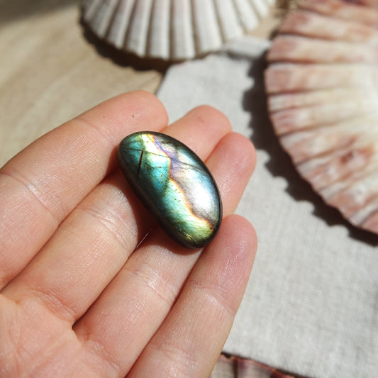 Lila Labradorit Cabochon ~ 14XL
