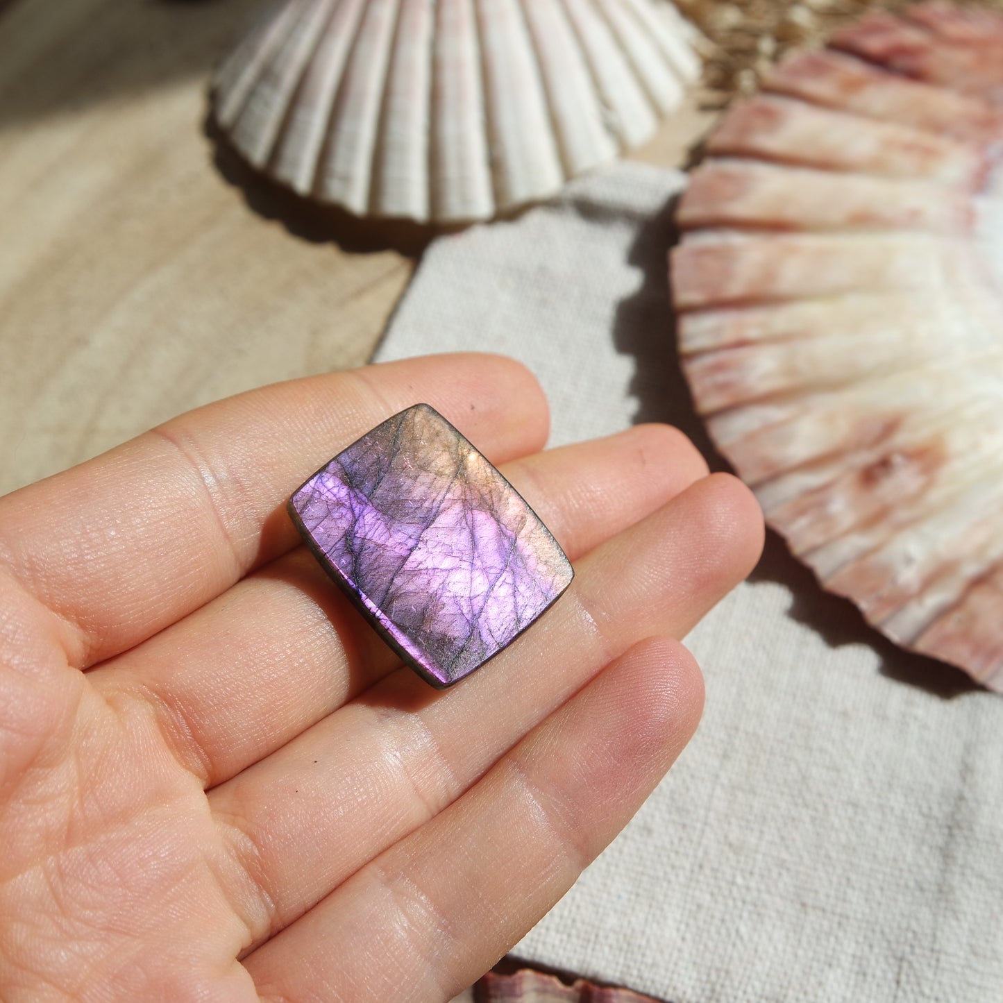 Lila Labradorit Cabochon ~ 14XN