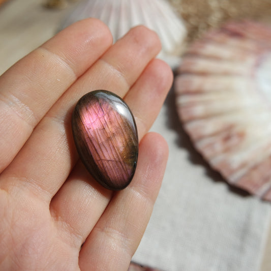 Lila Labradorit Cabochon ~ 16YC