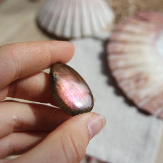 Lila Labradorit Cabochon ~ 16YC