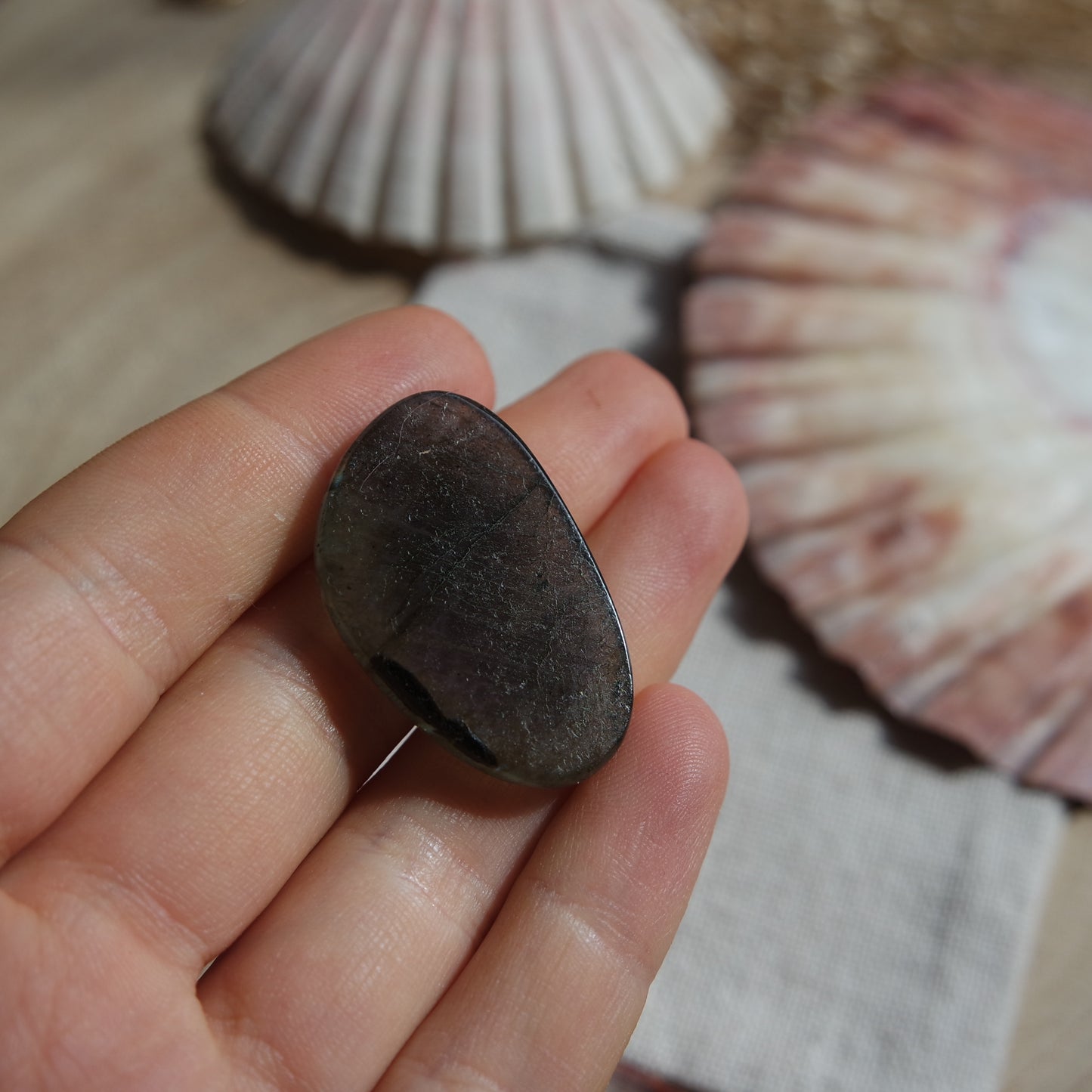 Lila Labradorit Cabochon ~ 16YD