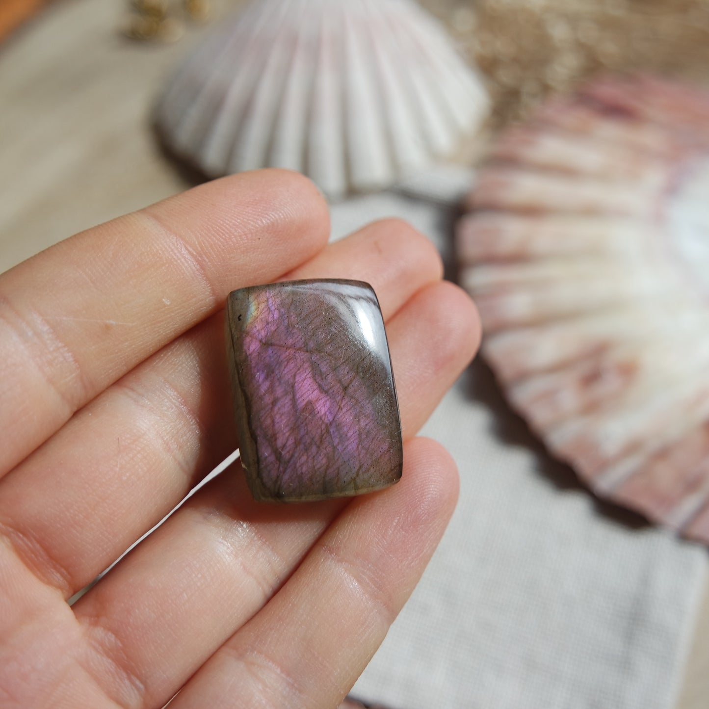 Lila Labradorit Cabochon ~ 18ZH