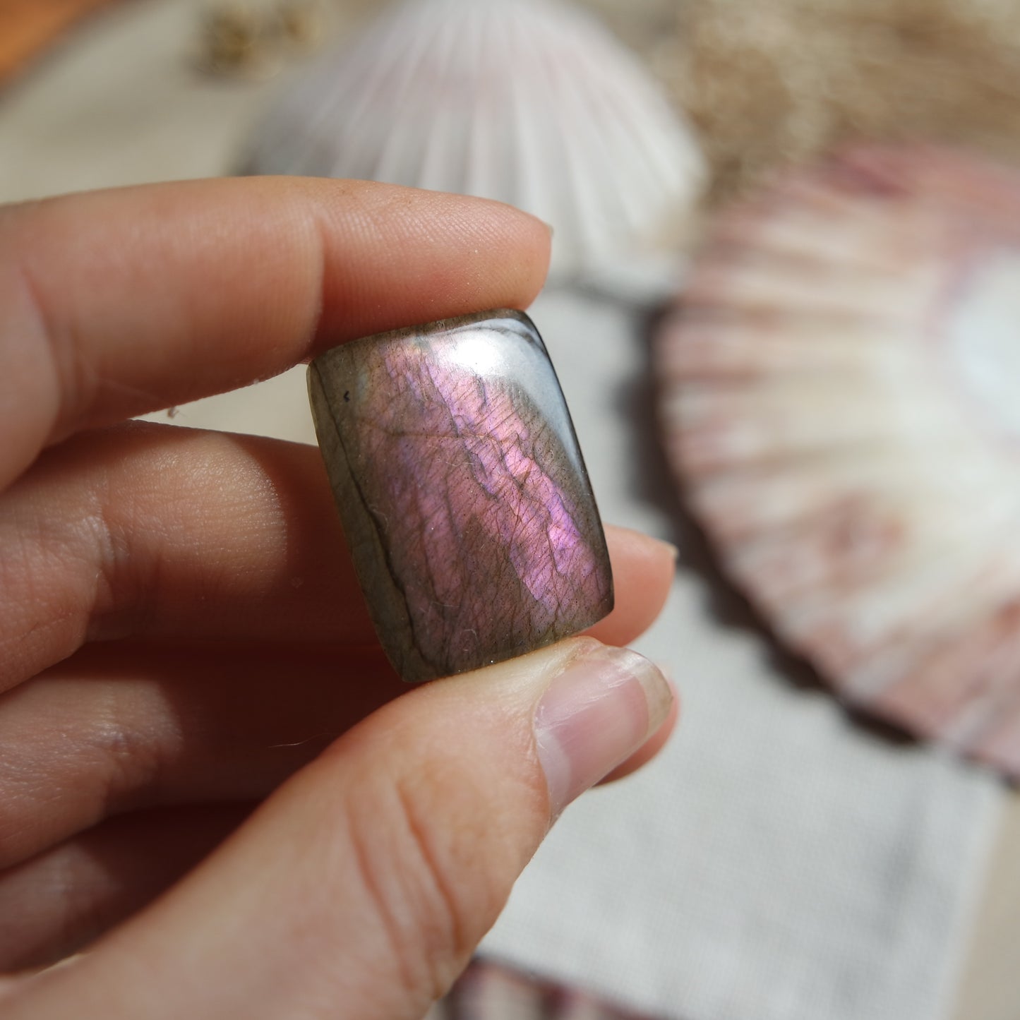 Lila Labradorit Cabochon ~ 18ZH