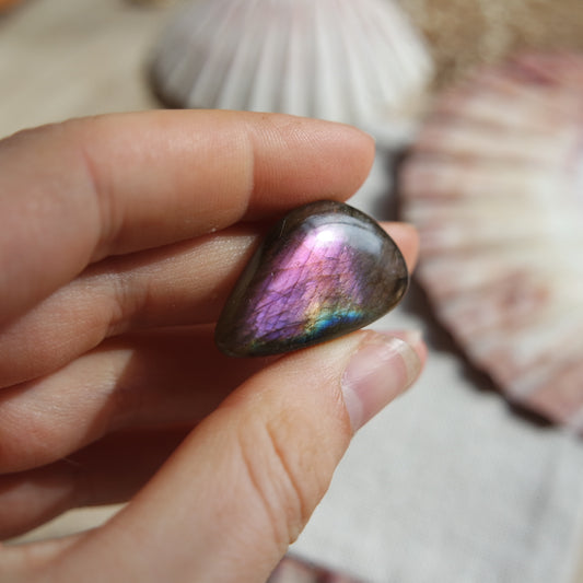 Lila Labradorit Cabochon ~ 18ZJ