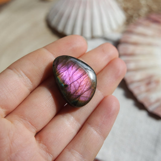 Lila Labradorit Cabochon ~ 18ZK