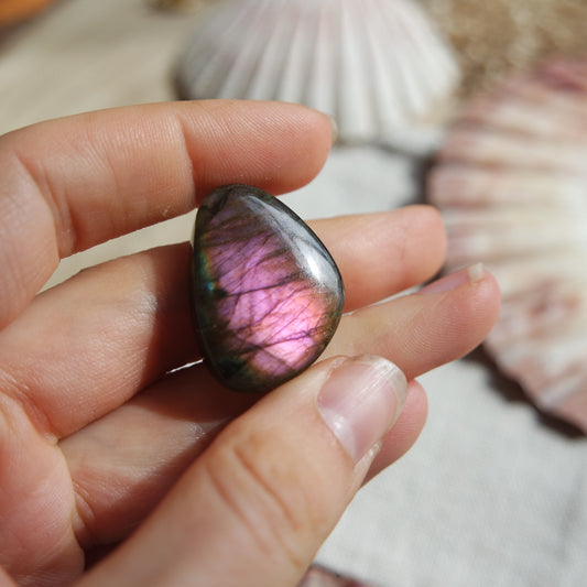 Lila Labradorit Cabochon ~ 18ZK