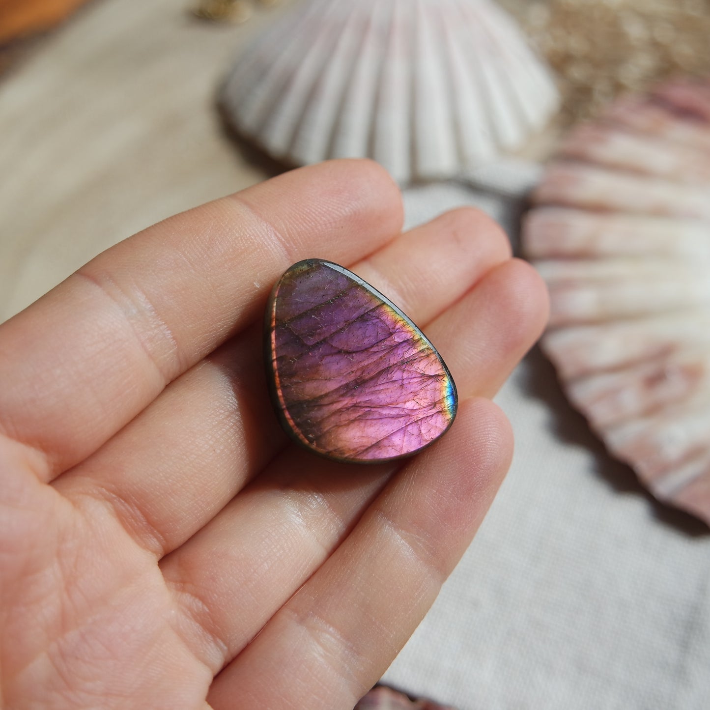 Lila Labradorit Cabochon ~ 18ZK