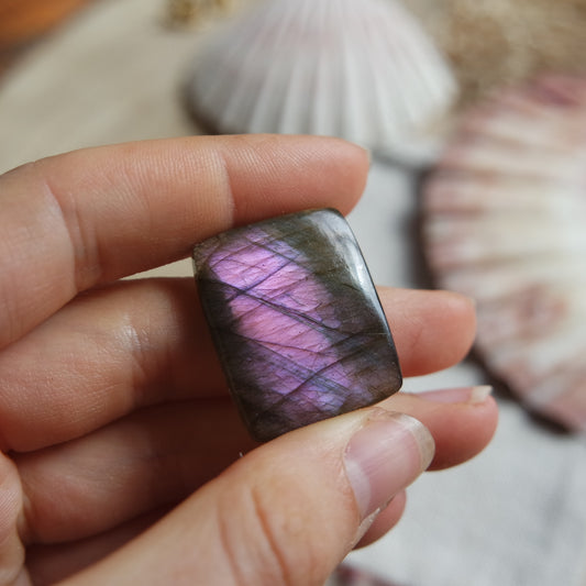 Lila Labradorit Cabochon ~ 18ZL