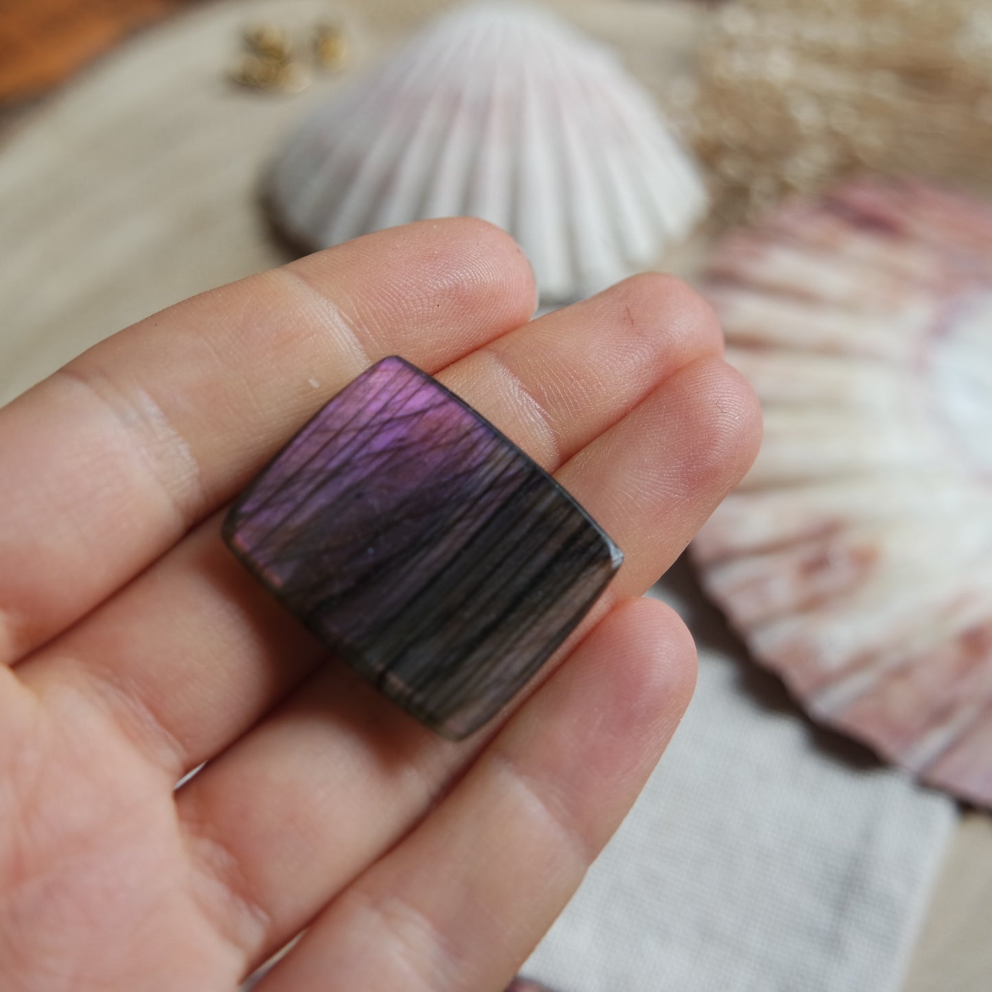 Lila Labradorit Cabochon ~ 18ZM