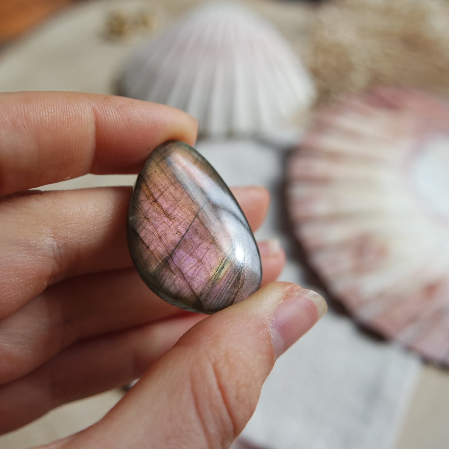 Lila Labradorit Cabochon ~ 21YA