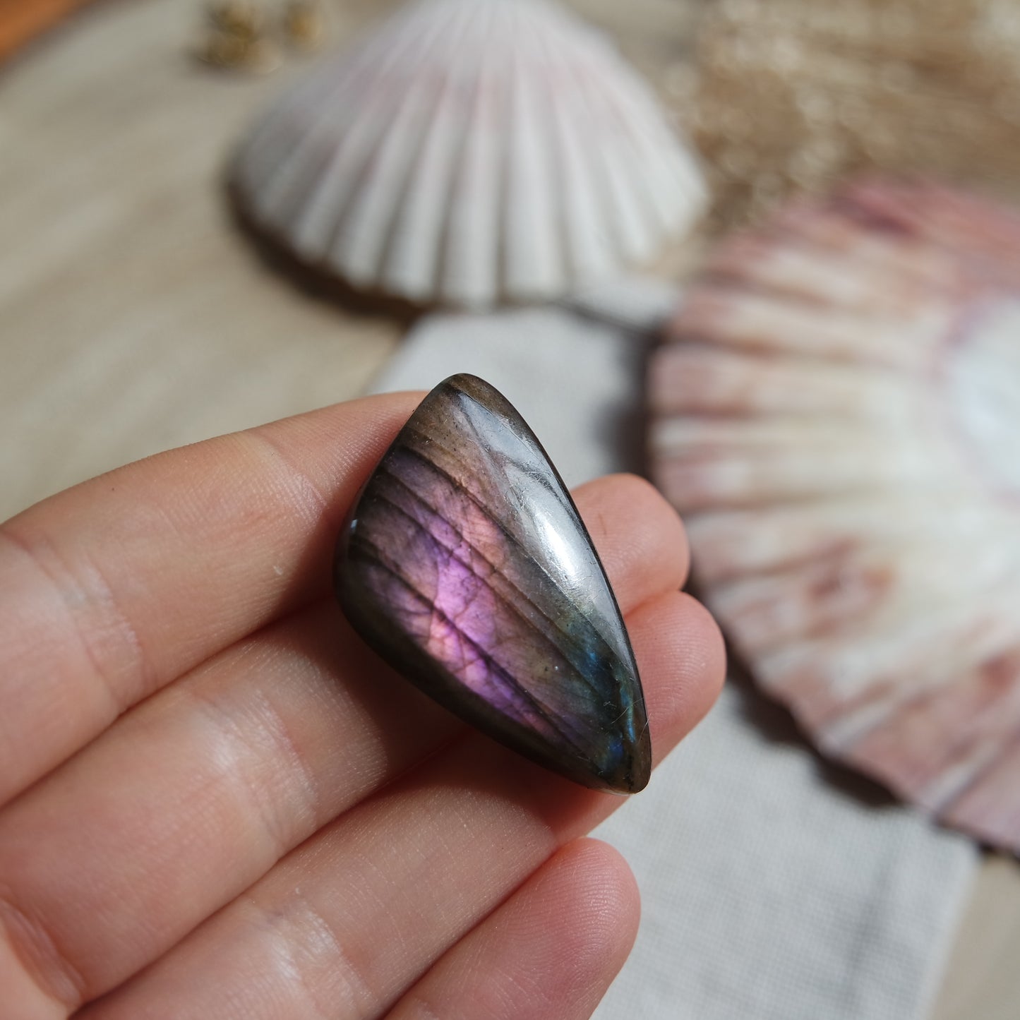 Lila Labradorit Cabochon ~ 22YA