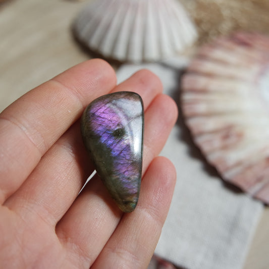 Lila Labradorit Cabochon ~ 24ya