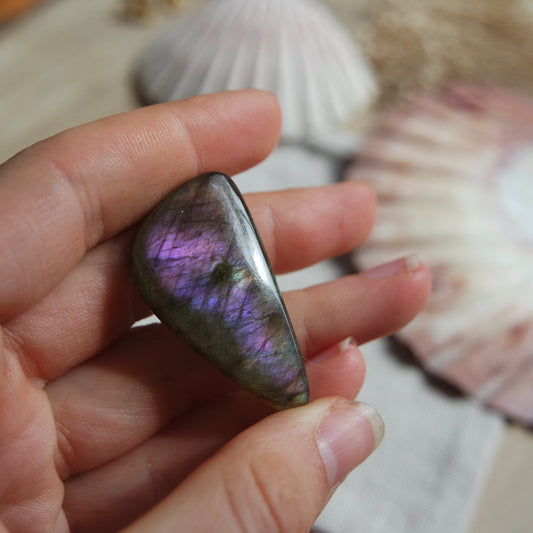 Lila Labradorit Cabochon ~ 24ya