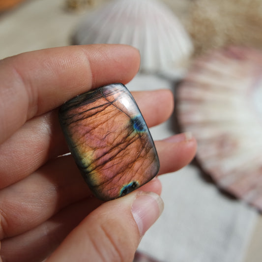 Lila Labradorit Cabochon ~ 24yb