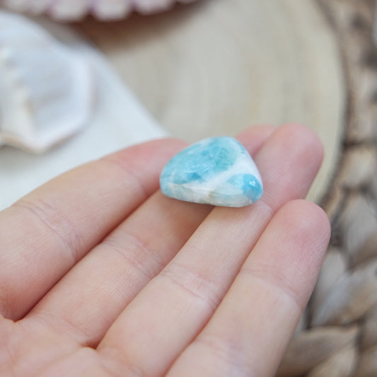 Larimar Cabochon ~ 22L