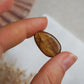 Bernstein Cabochon  aus der Karibik ~ B12
