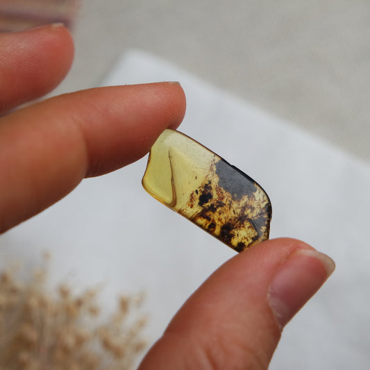 Bernstein Cabochon aus der Karibik ~ B7