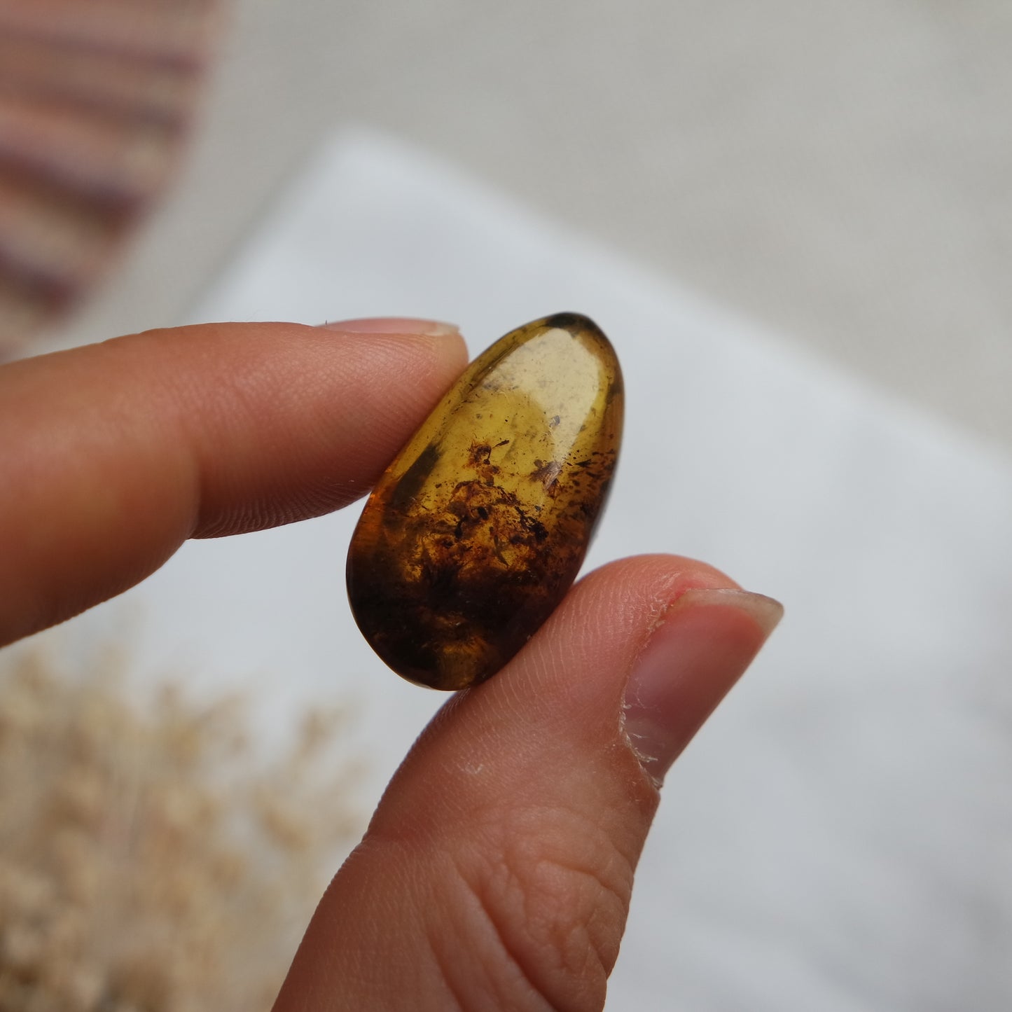 Bernstein Cabochon aus der Karibik ~ B23