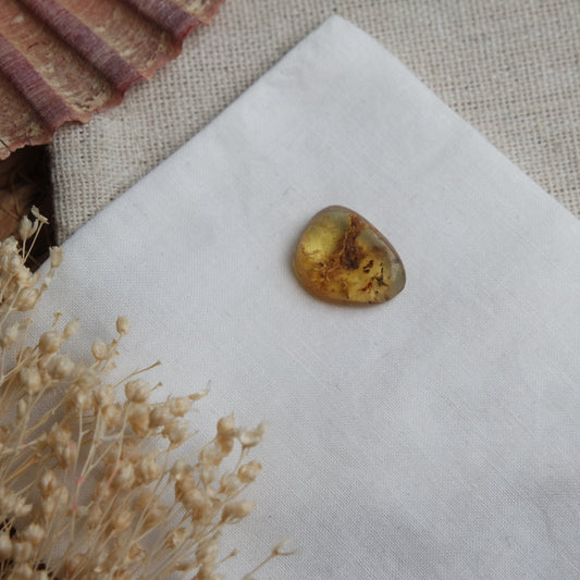 Bernstein Cabochon aus der Karibik ~ B6