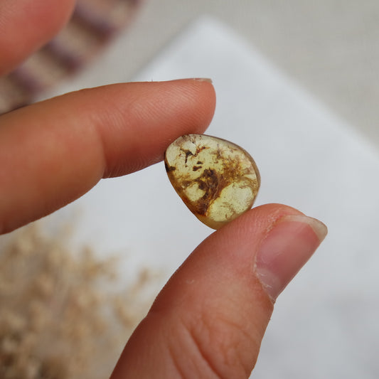 Bernstein Cabochon aus der Karibik ~ B6