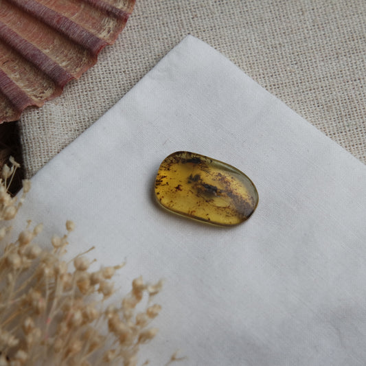 Bernstein Cabochon aus der Karibik ~ B11