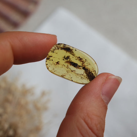 Bernstein Cabochon aus der Karibik ~ B11