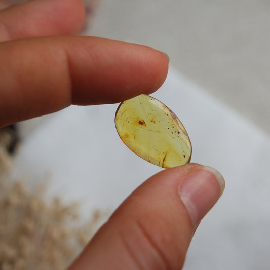 Bernstein Cabochon aus der Karibik ~ B5