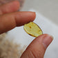 Bernstein Cabochon aus der Karibik ~ B5