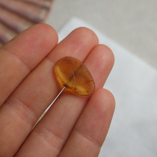 Bernstein Cabochon aus der Karibik ~ B5