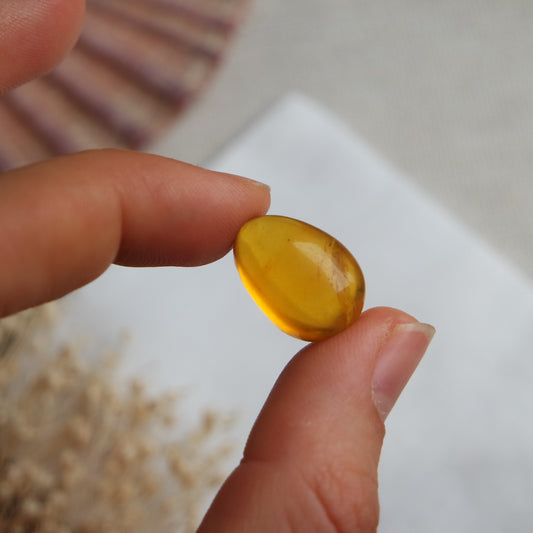Bernstein Cabochon aus der Karibik ~ BB12