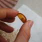 Bernstein Cabochon aus der Karibik ~ BB12