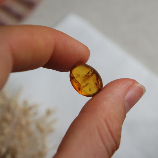 Bernstein Cabochon aus der Karibik ~ BB8
