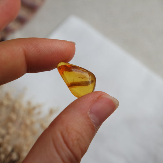 Bernstein Cabochon aus der Karibik ~ B10