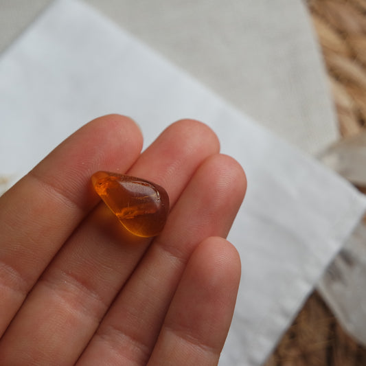 Bernstein Cabochon aus der Karibik ~ B10