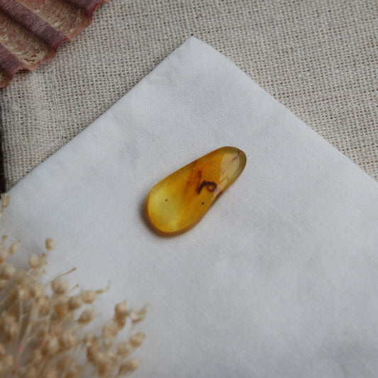 Bernstein Cabochon aus der Karibik ~ BB10