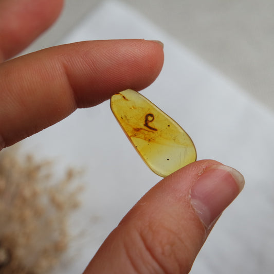 Bernstein Cabochon aus der Karibik ~ BB10