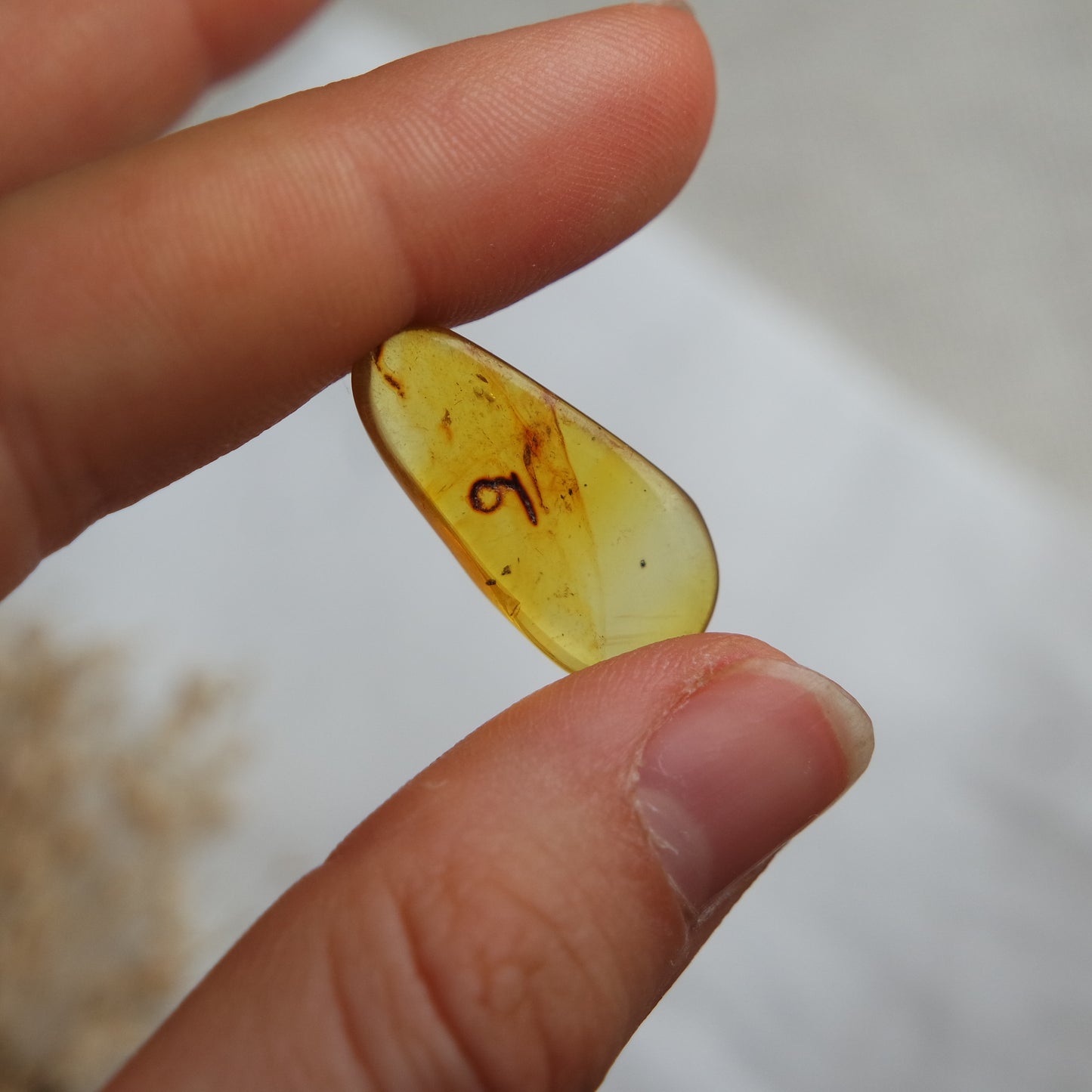 Bernstein Cabochon aus der Karibik ~ BB10