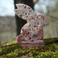 Crazy Lace Achat Hase