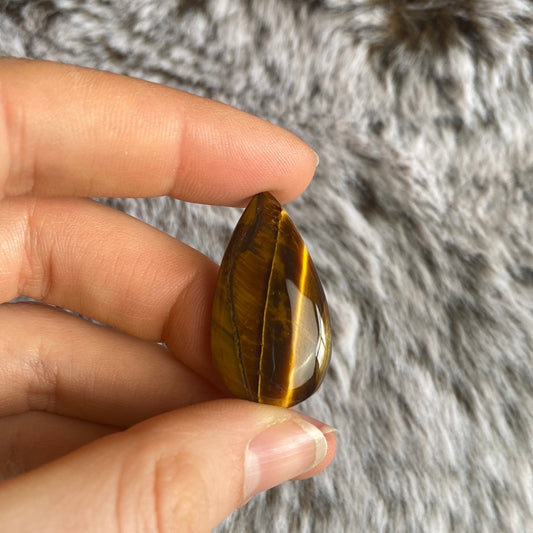 Tigerauge Cabochon ~ B5