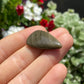 Shinie Obsidian Cabochon