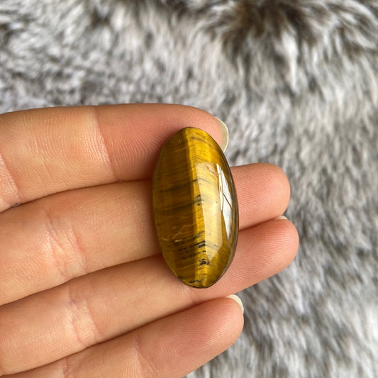 Tigerauge Cabochon ~ B1