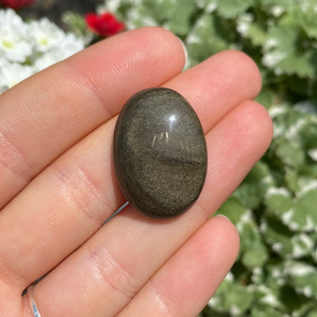 Shinie Obsidian Cabochon